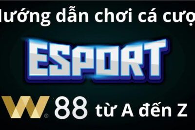 Hướng dẫn cá cược Esports W88 chi tiết cho tân thủ